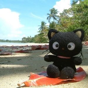 Meet your Posher, Monie